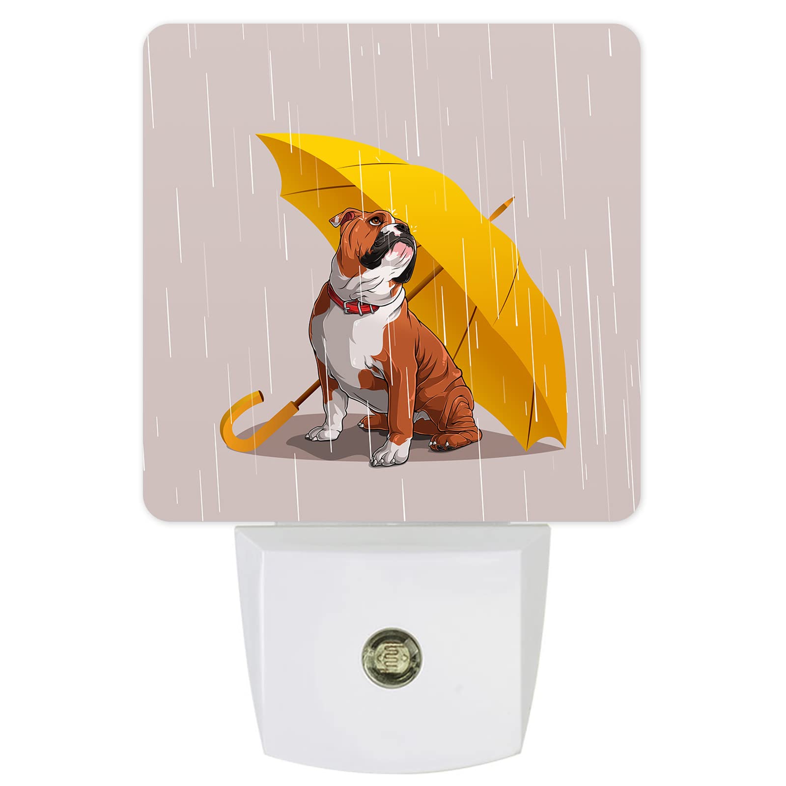 Does Dog Need To Go To Bathroom At Night