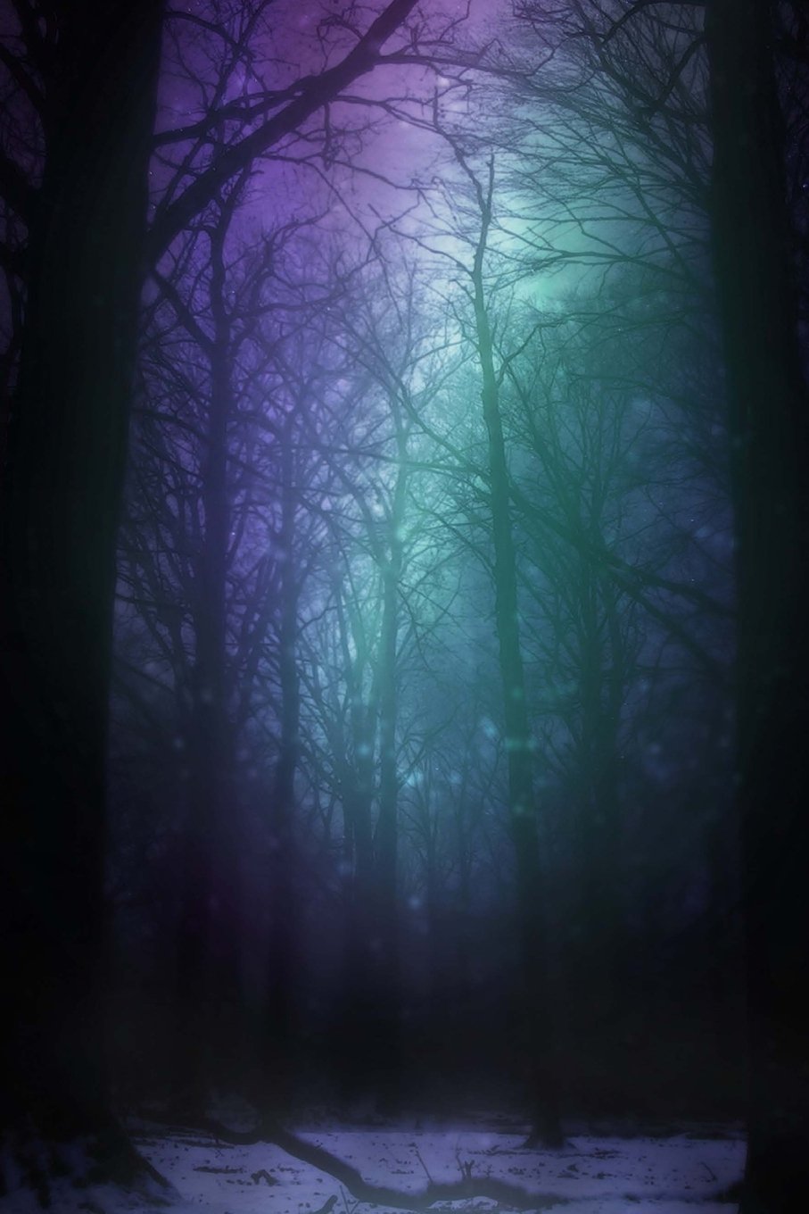 Aurora Night Journal