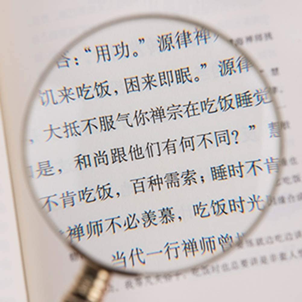 Loupe Portable Grossissement X5, Lentille De 75 à 100 Mm De Diamètre