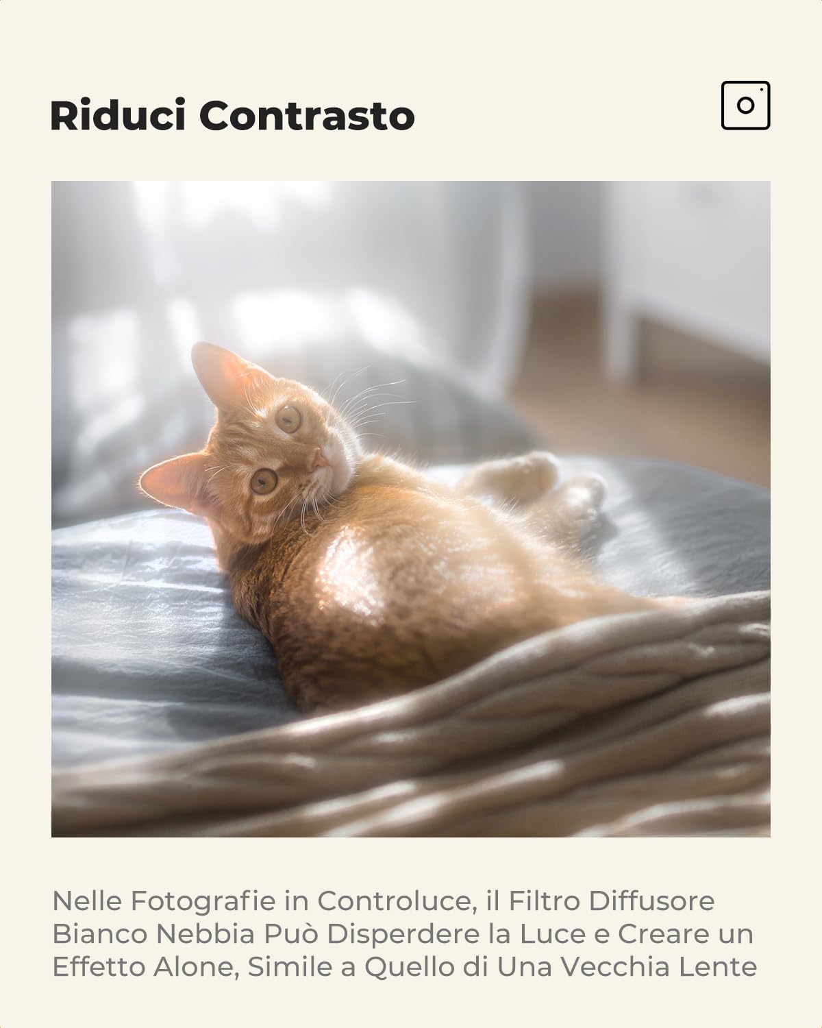 K&F CONCEPT Nano-Klear 77mm Filtro di Diffusione Bianco 1/4, White Mist 1/4 Filtro con 3 Pezzi Panno per Pulizia in Microfibra per Ammorbidente per Immagini e Video per Ritratti