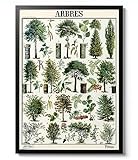 Notre art : apportez la beauté de la nature dans votre maison avec notre collection d'art botanique. Explorez une gamme d'impressions et de peintures exquises avec des plantes, des fleurs et de la faune, parfaites pour tout décor. Découvrez la sérénité de l'art botanique aujourd'hui.