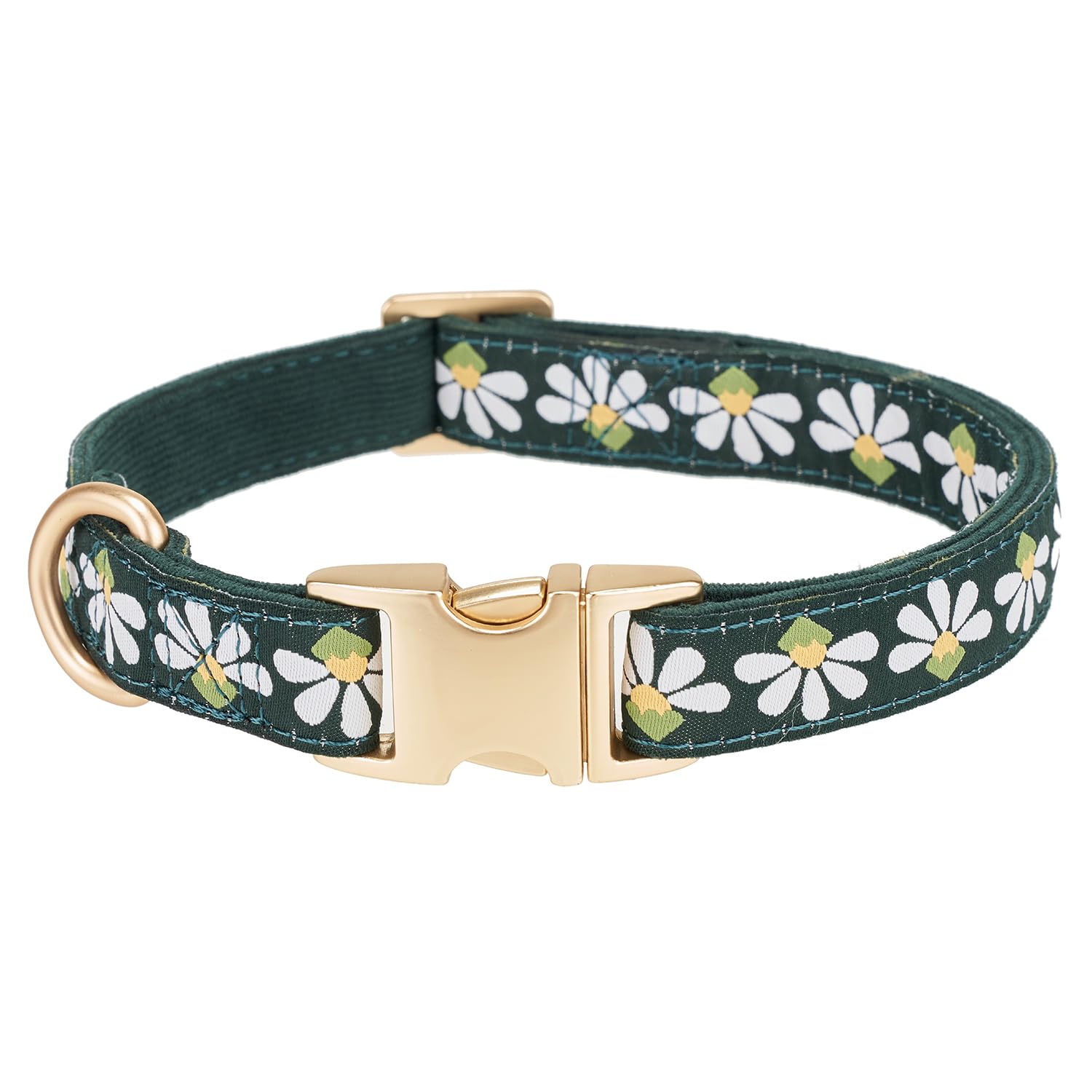 Petiry Woven Dog Collar with Metal Clasp-Chic Floral Patterned,Comfort Corduroy for Medium Male Dogs Neck 31-49cm,Green
