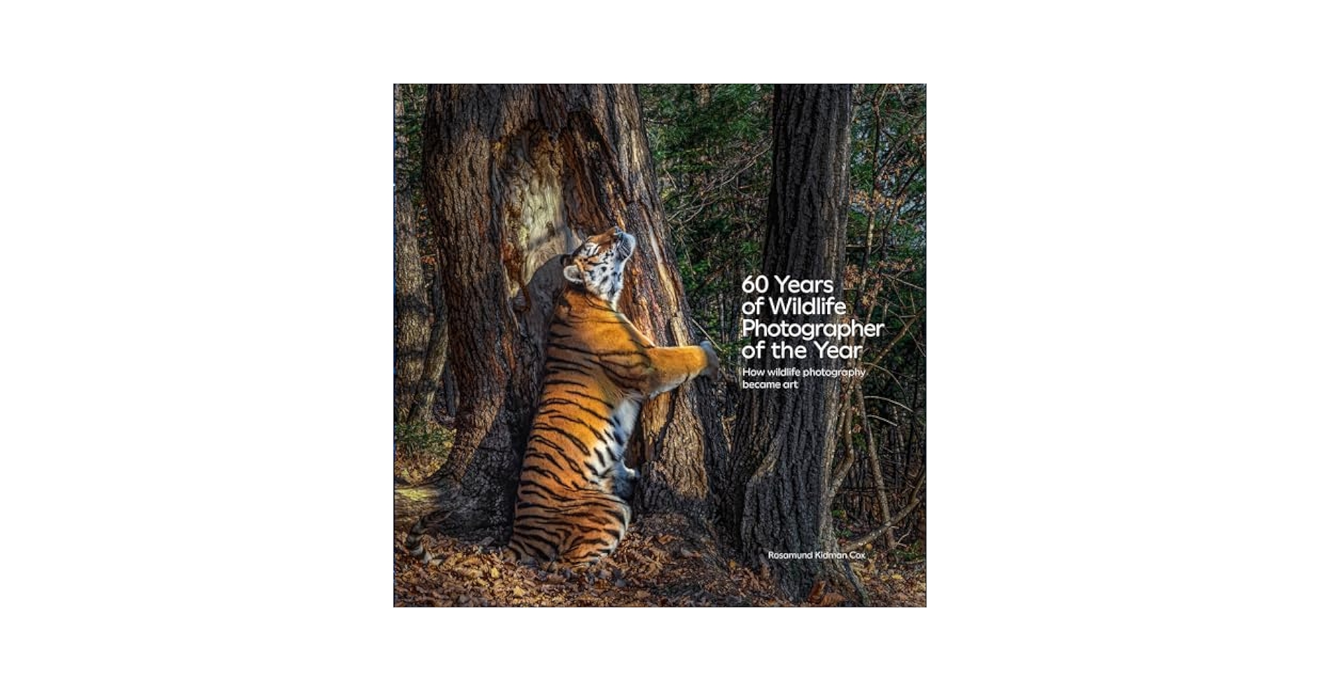 写真集 Wildlife Photographer of the Year 6冊 写真集 Wildlife Photographer of the Year 6冊