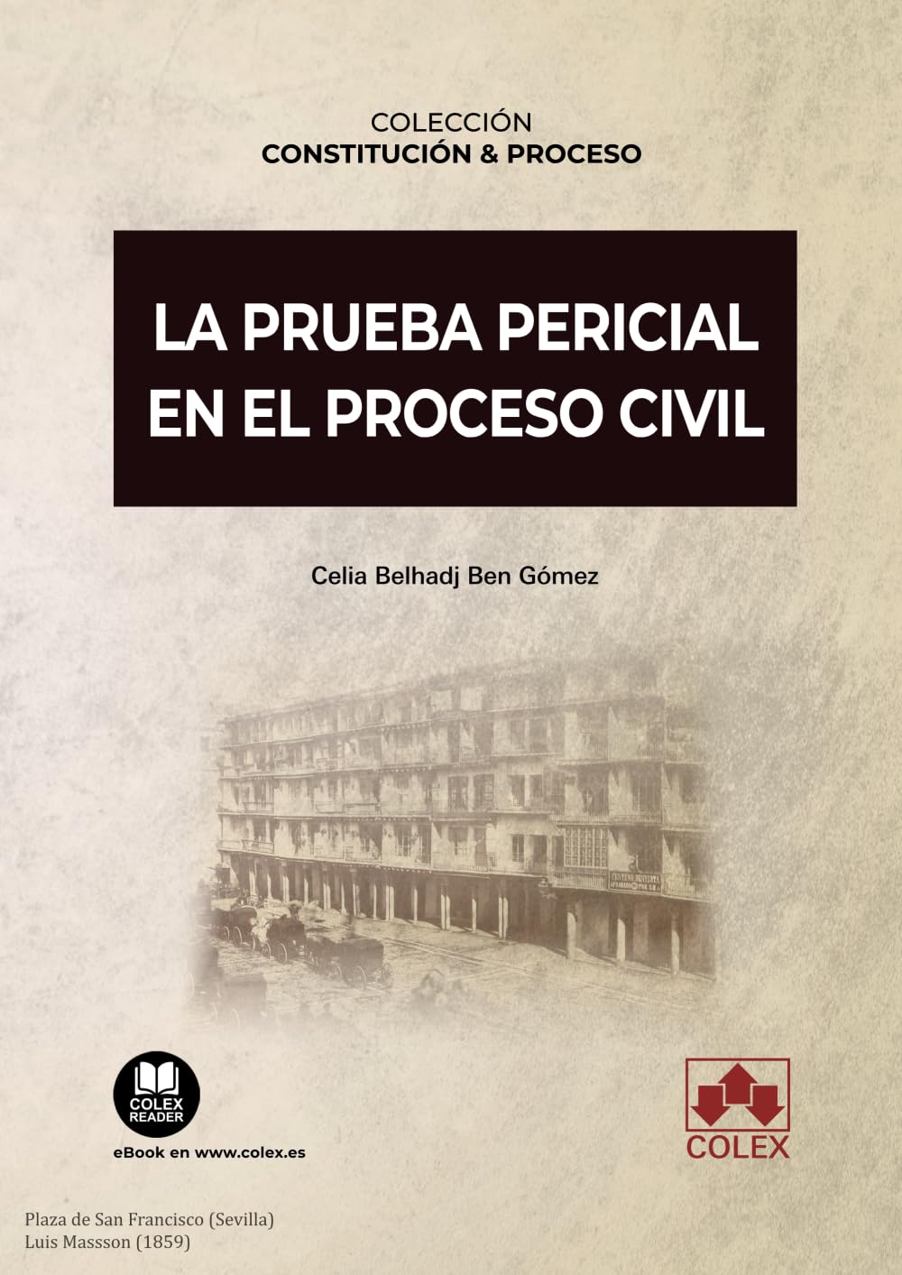 La prueba pericial en el proceso civil: 2 (Constitución y Proceso)