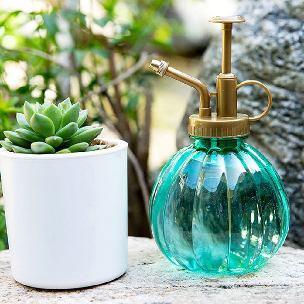 FLACONE SPRAY DETERGENTE Flacone Spray Per Piante Flacone Spray Detergente Flacone Spray Per Piante Flacone 335255830338