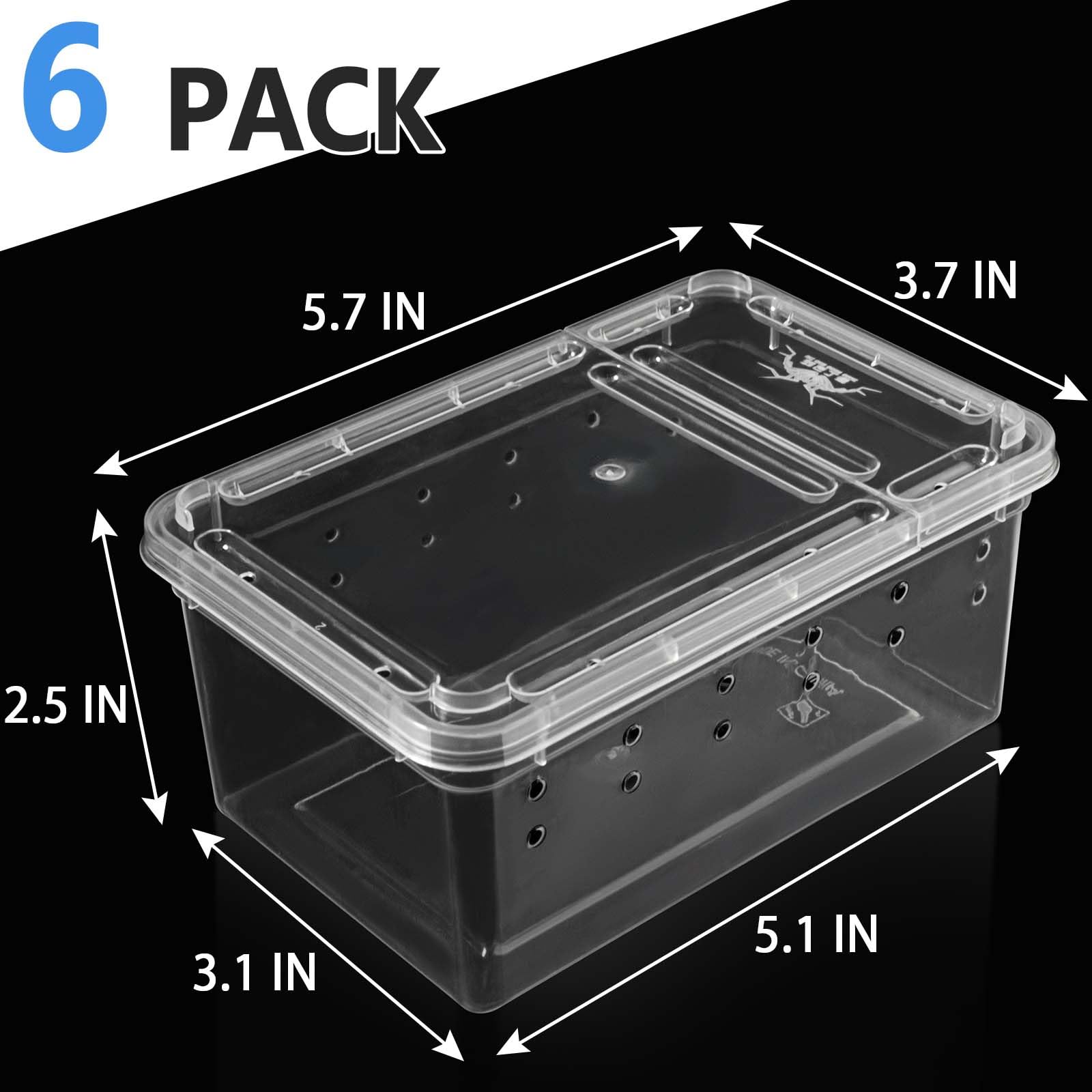 Creature Container Easy Snapklik.com : 6 Pcs Spider Terrariums Breeding Box Insect Container ...