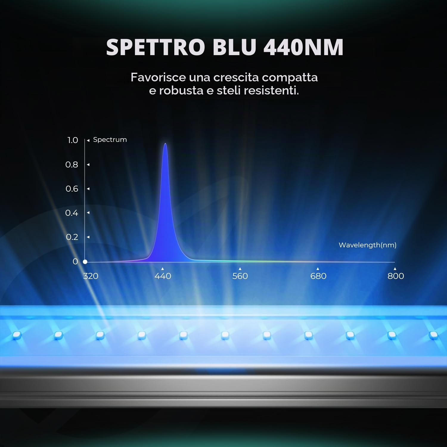 MARS HYDRO ADlite RB30 - Lampada a LED per piante 440 nm e 660 nm, significativo aumento della resa del raccolto, 60 cm Grow Light 30 Wx2, striscia rossa e blu per tende