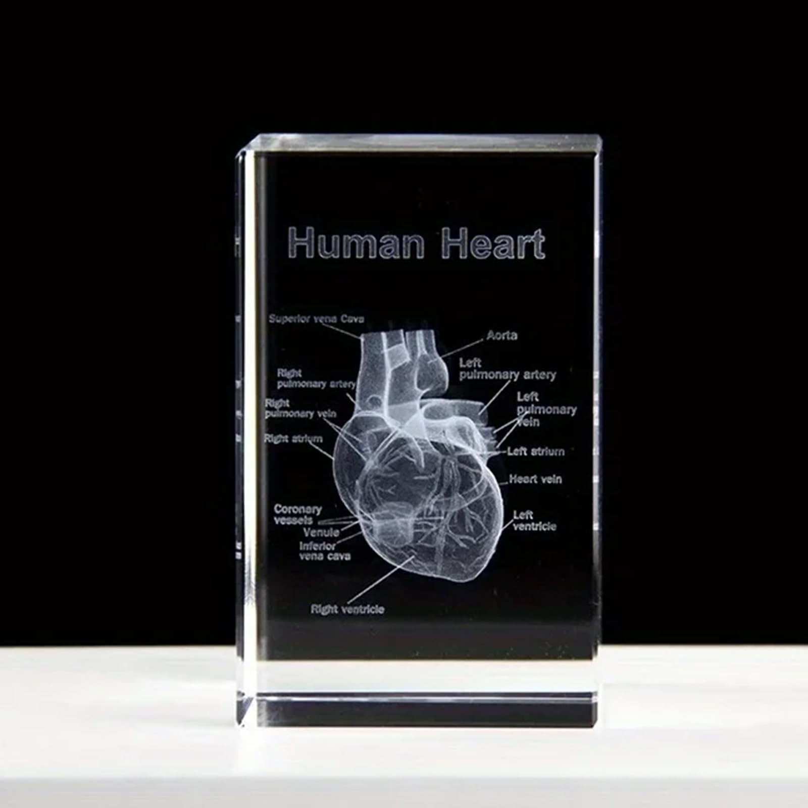 Ensemble de modèles anatomiques en cristal 3D, Représentation 3D de cœur gravée avec précisionpour médecine et design
