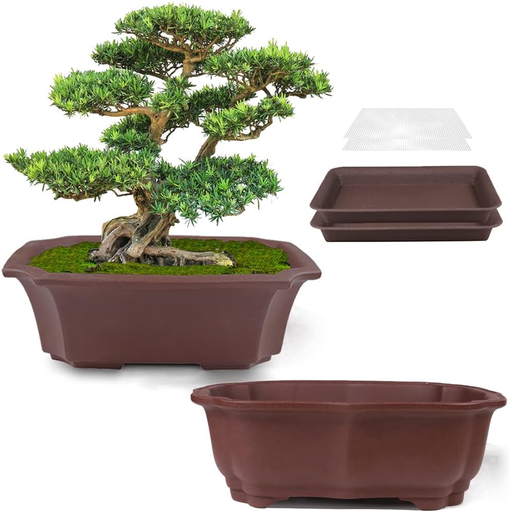 Towjaw 3pcs Bonsai Pots with Humidity Trays,Plastic Bonsai