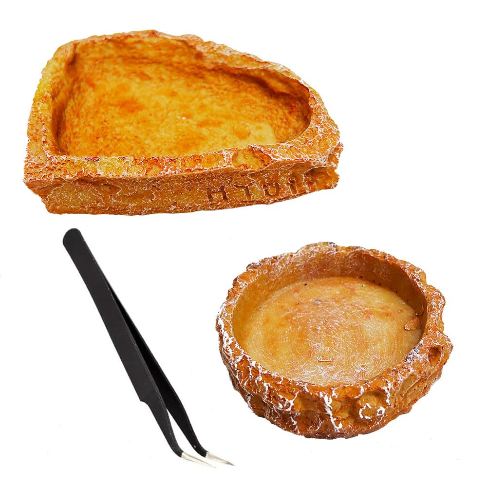 Qhinaster 2PCS Reptile Feeder Food and Water Dish with Feeding Tweezers Tong Reptile Water Dish Food Bowl Set for Leopard Gecko Lizard Frog (Style 3)