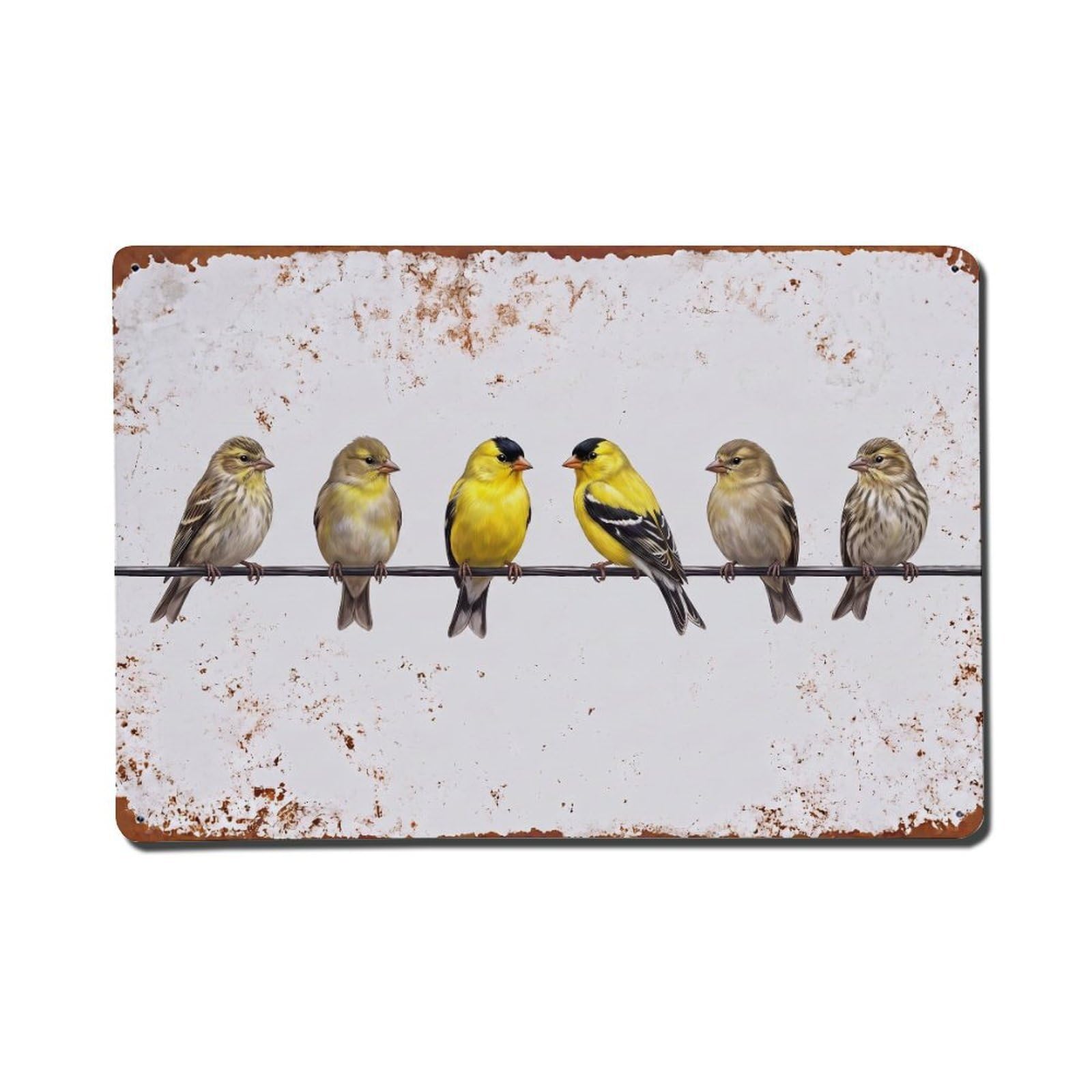 Vintage Retro Birds Goldfinch Metal Tin Sign