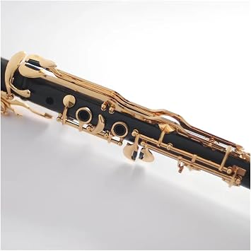 Ebony Tube Body 18 Keys Gold Plated Keys G Tone Clarinet Woodwind Instrument With Case Clarinet Kit