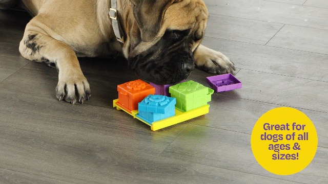 Brightkins Puzzle Parts de Tarte pour friandises pour Chien, Jouet interactif pour Chien Contre l'ennui, Stimulation cérébrale, gamelle Anti-glouton