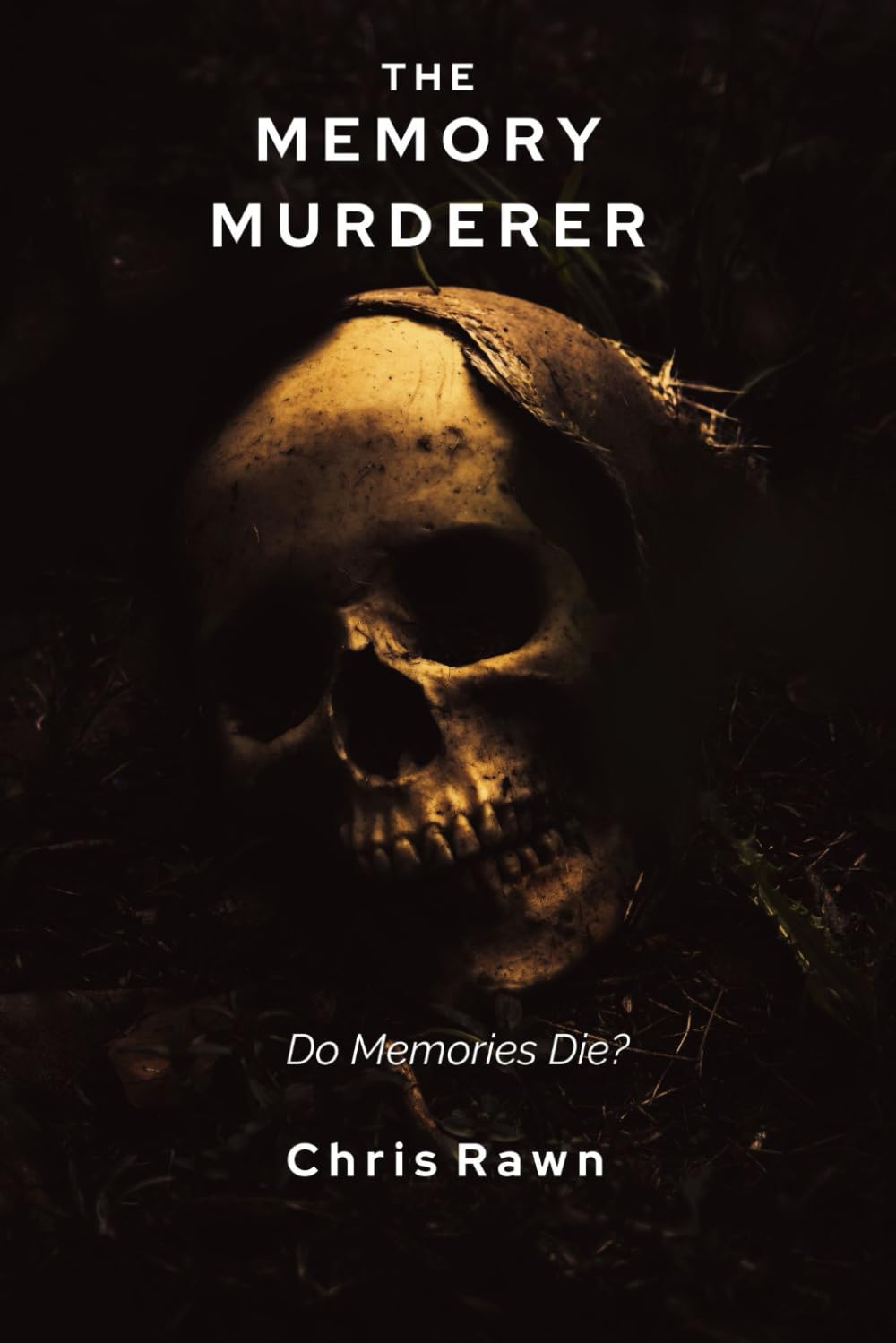 The Memory Murderer: Do memories die?