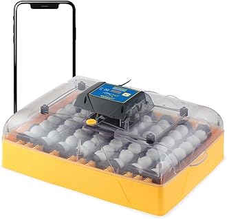 Ovation 56 EX Connect App Controlled Egg Incubator with Automatic Egg Turning and Humidity Control for Hatching 56 Chicken, Duck, Other Eggs, Precision App-Driven Digital Controls and Alarms