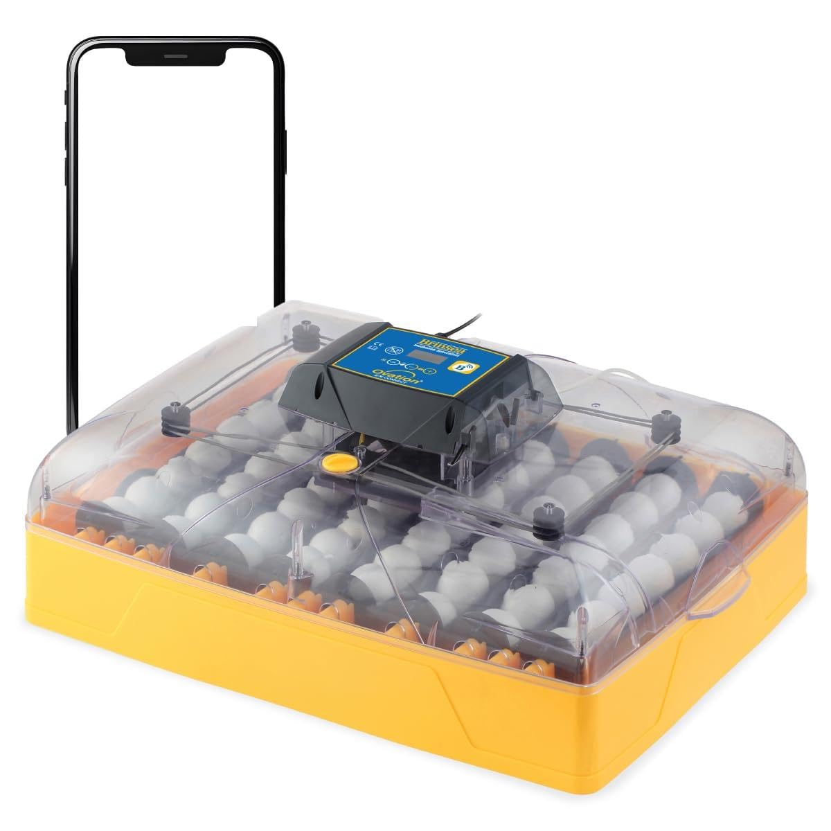Ovation 56 EX Connect App Controlled Egg Incubator with Automatic Egg Turning and Humidity Control for Hatching 56 Chicken, Duck, Other Eggs, Precision App-Driven Digital Controls and Alarms