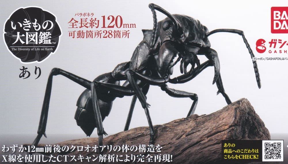 Amazon | 無 パラポネラ いきもの大図鑑 あり ガチャアリ蟻 | 生物