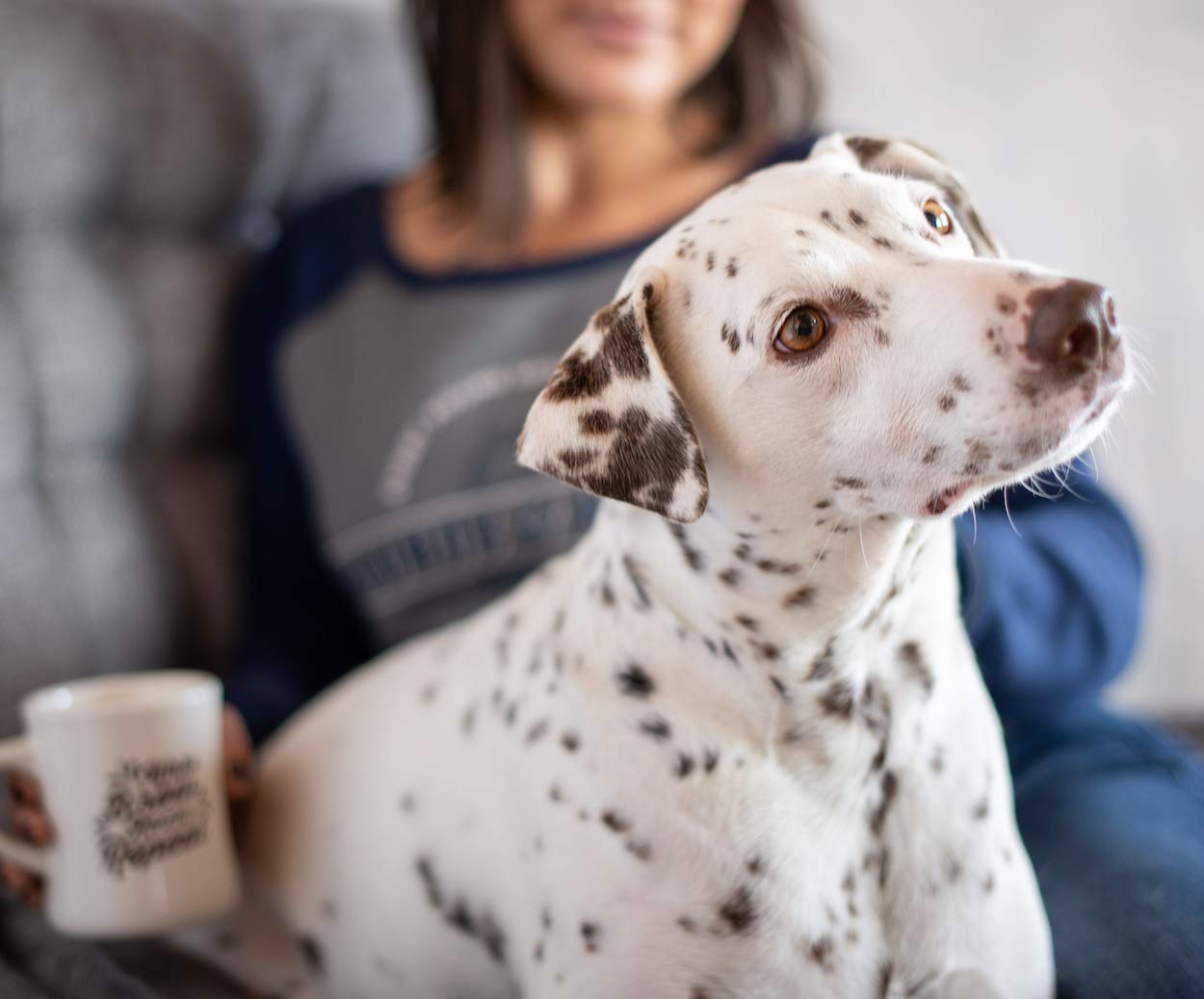 Grounds & Hounds Alpha Blend - 100% Organic Whole Bean Coffee, Dark Roast Coffee Beans, Bulk Coffee, 2lbs