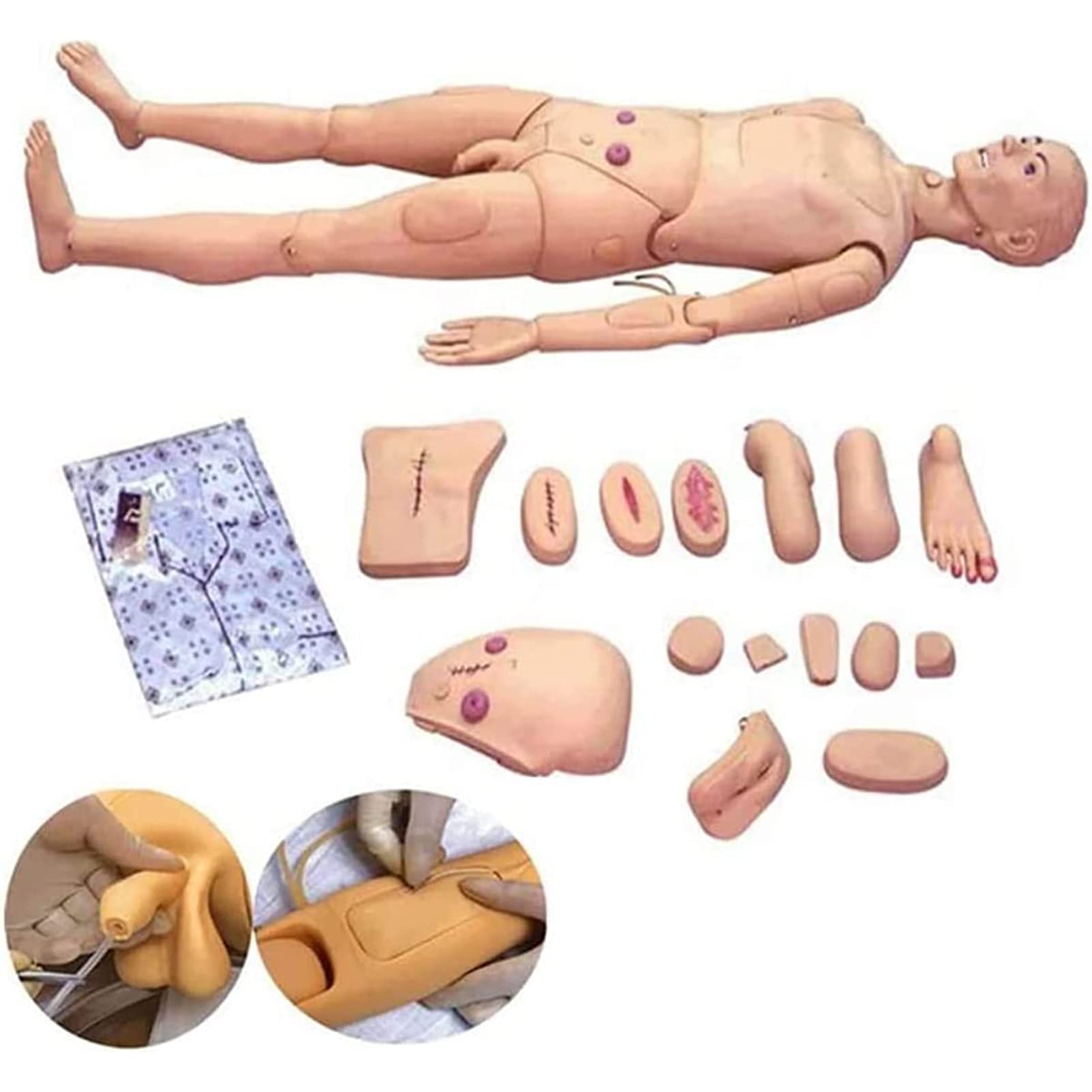 Anatomisches Modell des Menschen, Multifunktionaler Pflegetrainingspuppenmodus, 170 cm Erste-Hilfe-Trainingssimulations-Lehrpuppe, Für Unterrichts- Und Bildungsbedarf
