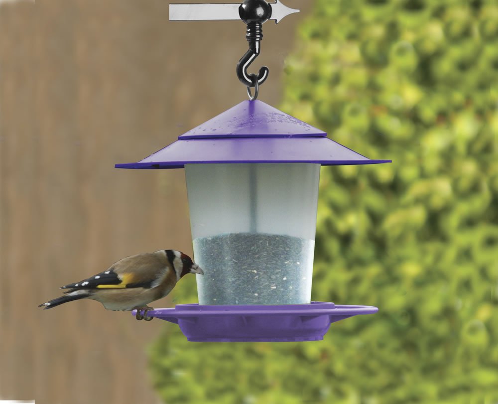 W2071 Lantern Bird Seed & Nut Feeder Purple