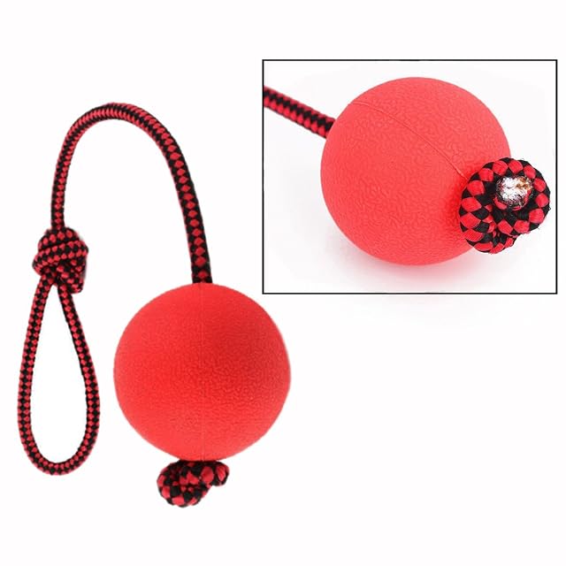 Foto 2 de 6 de OFKPO 3PCS Juguetes Interactivos para Perros, Pelota de Goma Natural en Una Cuerda