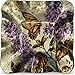 Angelstar 19182 Majestic Monarch Square Plate, 10-1/2"