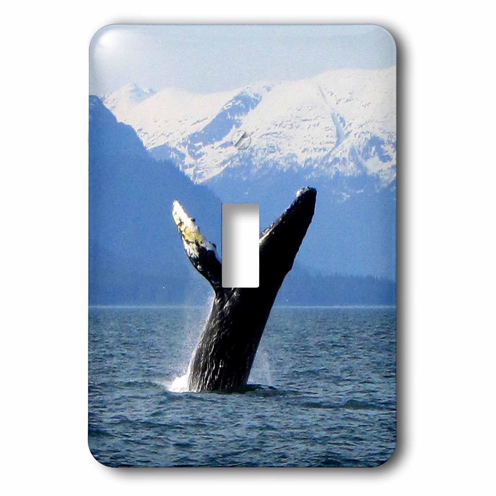 Interrupteur à bascule unique motif baleine d'Alaska par 3dRose lsp_21600_1