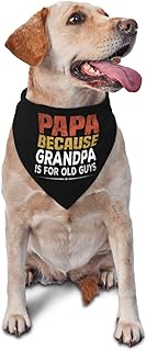Pa Because Grandpa is for Old Guys Triangle Dog Bandana Scarf Accessories for Pet Bibs