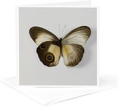 3dRose Greeting Card - The Silky Owl Butterfly wing comparison top and bottom wings - Butterflies