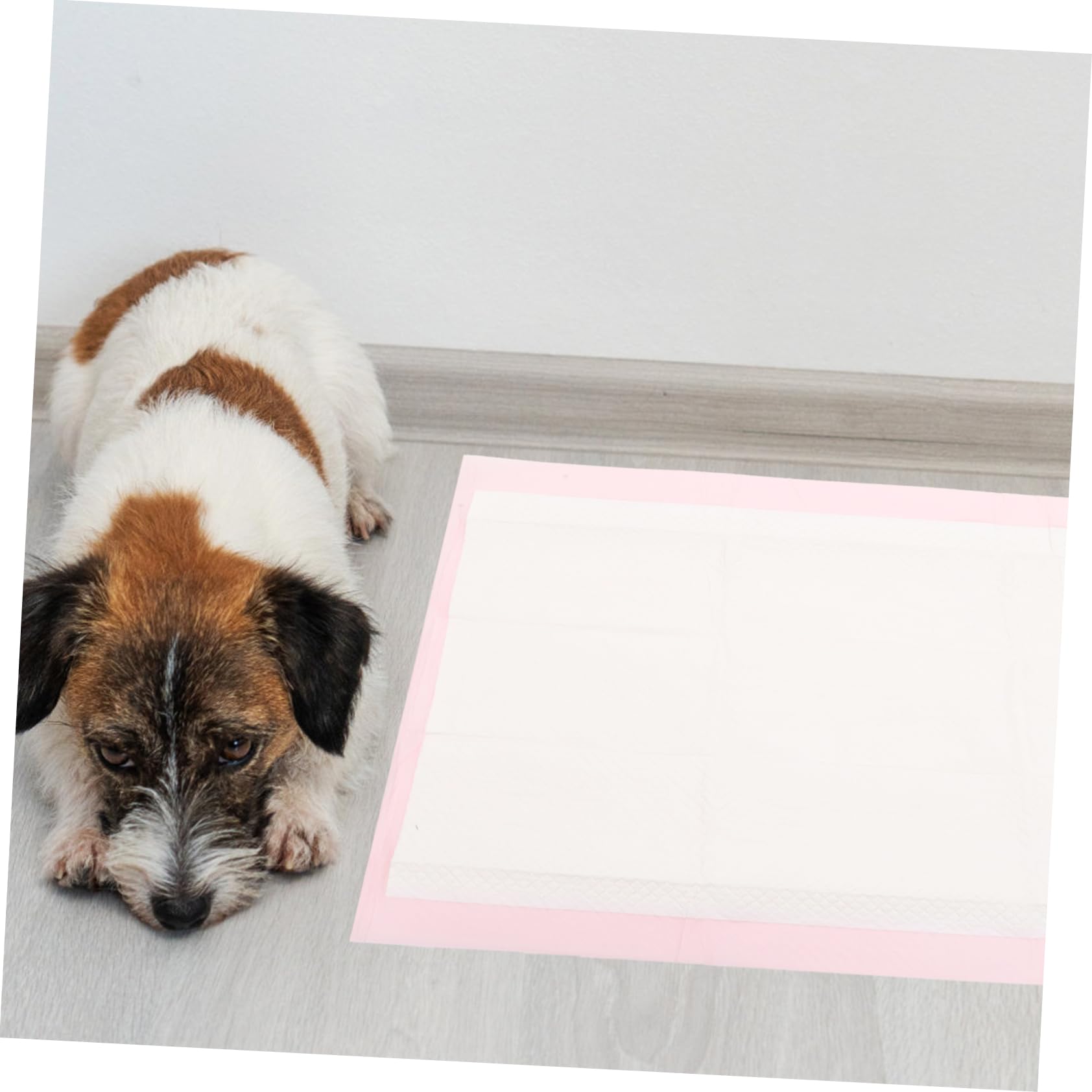 Housoutil 25stücke Welpenunterlagen Für Hunde Aus Vliesstoff Einweg-Pads Saugfähig Und Auslaufsicher Für Stubenreinheitserziehung Und Unterstützung Älterer Haustiere