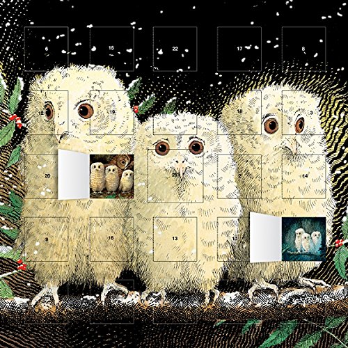 Télécharger Calendrier de l'Avent - Noël - CHOUETTE - oiseau - FORMAT 30X30cm + offert un agenda de poche 2019 PDF