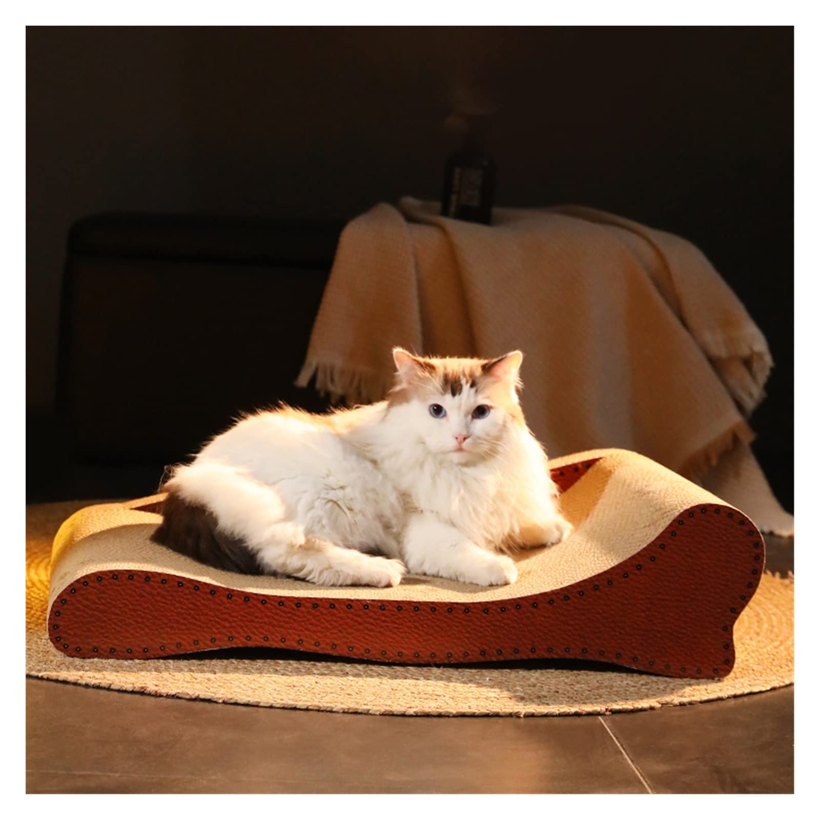 Griffoir pour chat grand jouet fournitures arbre à chat résistant