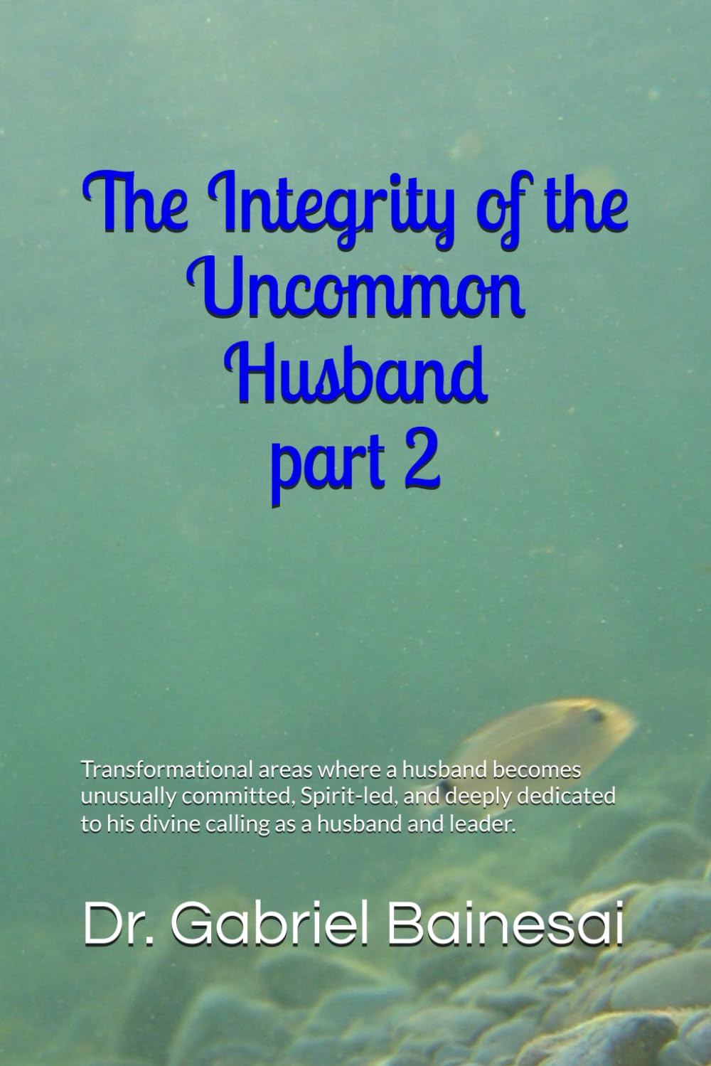 The Integrity of the Uncommon Husband: Transformational areas where a husband becomes unusually committed, Spirit-led, and deeply dedicated to his divine calling as a husband and leader.