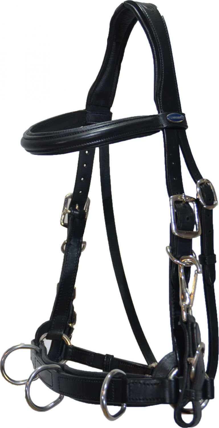 Euroriding Trensen Kappzaum Leder AtlantaPony schwarz