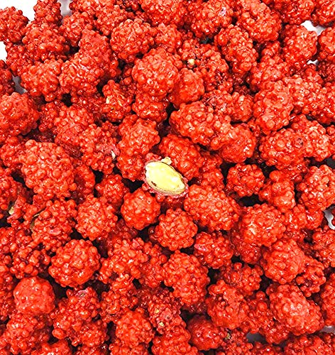 Sweetgourmet French Burnt Peanuts | Red Candy Spanish Peanuts | Old Fashioned Sweet And Salty Snack | Kosher | 2 Pounds #TOP2