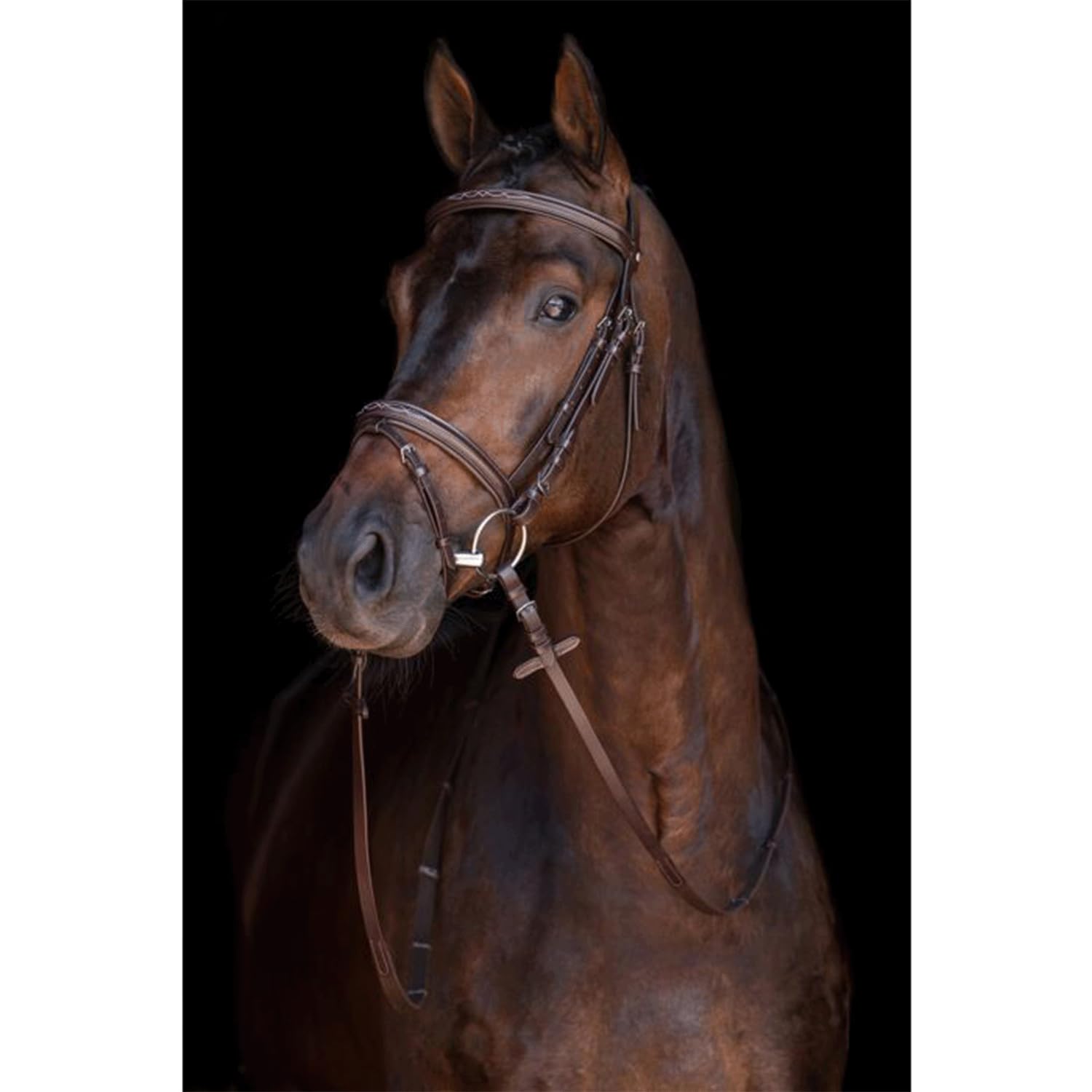 HKM Jana - Casco da Equitazione
