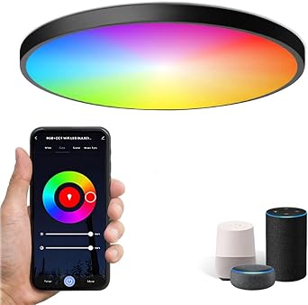 Smart WiFi Ceiling Light, APP or Voice Control, 24 W 2000LM [Energy Class A]