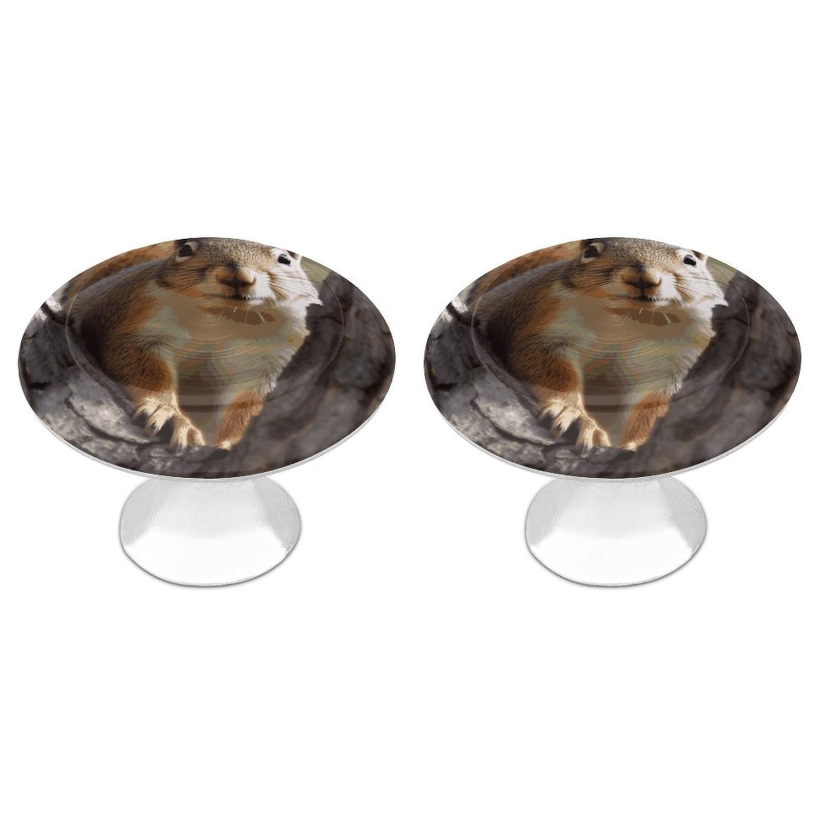 Fekiloot White Squirrel In The Tree Cabinet Knobs For Kitchen Ornament, Round Zinc Decorative Drawer Pulls For Cabinets Trendy, Dresser Drawers Pulls Bathroom Dresser Knob With Screw