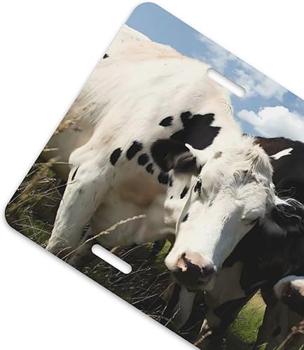 Miniatura 4 de Linda vaca en el prado placa de aluminio de 6 x 12 pulgadas, cubierta de metal para placa de matrícula delantera de automóvil, accesorio de