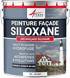 ARCANE INDUSTRIES Peinture Facade Siloxane Hydrofuge - ARCAFACADE SILOXANE - 10 L (+ ou - 60 m² en 1 Couche) Blanc