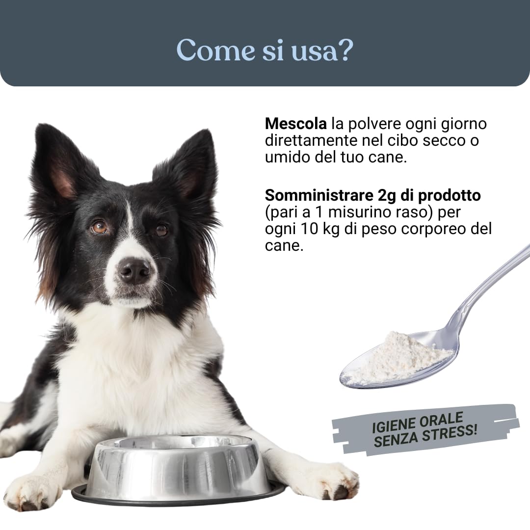 Bau Controllo Placca e Tartaro Cane in Polvere con Alga Ascophyllum Nodosum, Propoli e Menta, Mangime Complementare per Igiene Orale Senza Spazzolino, Alito Fresco e Gengive Sane del Cane