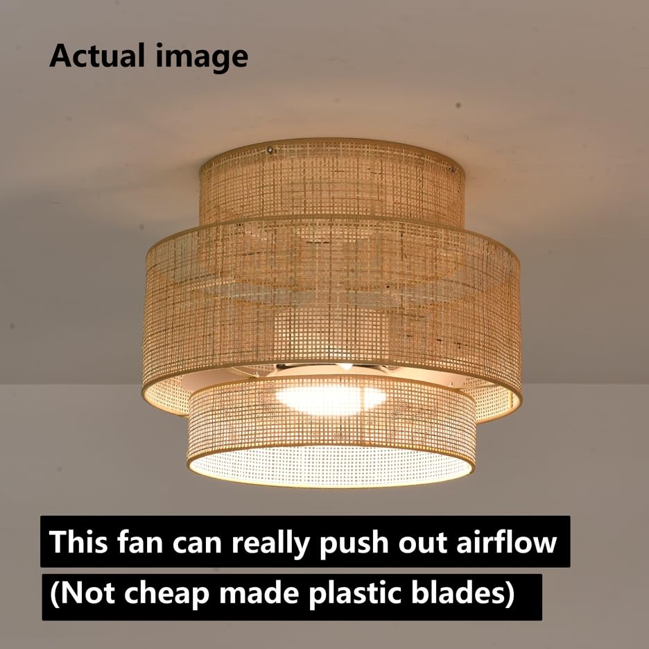 https://m.media-amazon.com/images/I/61PP1IDh4sL.jpg