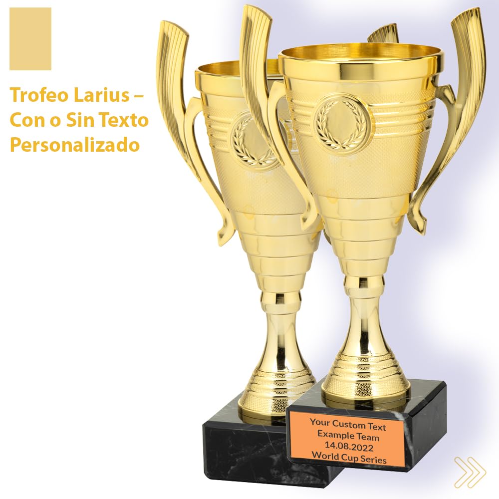 Trofeo Universal Larius de 22 cm con Base de Mármol Personalizable para Deportes y Premios