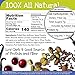 True North Granola – Go Nuts Granola with Dried Cranberries, Almonds, Coconut, Pecans and Pistachios, All Natural and Non-GMO, Bulk Bag, 3 lb.