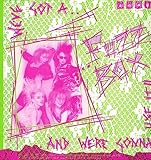 We've Got A Fuzzbox And We're Gonna Use It!! [LP]
