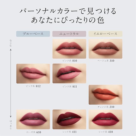 コーセー エスプリーク シフォンマット ルージュ PK810の商品画像