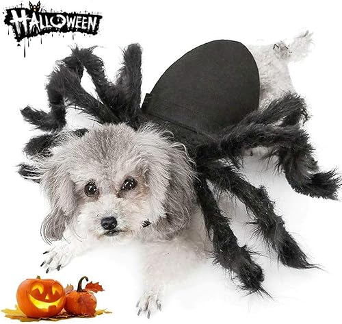 Disfraz de araña para perro y gato para decoración de fiesta de Halloween, disfraces de cosplay de Halloween para perros pequeños y gatos,