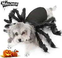 Fantasia de Aranha de Cachorro para Decoração de Festa de Halloween, Fantasia de Cosplay de Halloween para Cães Pequenos e Gato, Acessórios para Vestir Gatos de CachorroPuoyis Medium