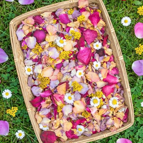 50 Cups Mixed Dried Rose Petals 9.2oz Real Flower Petal for Wedding