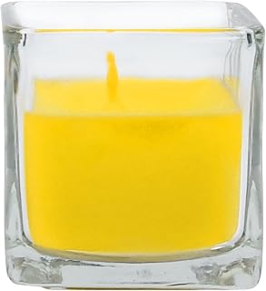 Zest Candle 12-Piece Votive Candles, Yellow Citronella Square Glass